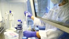 DSÖ, menenjit salgınıyla mücadele için kampanya başlattı