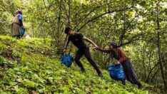 Fatma’nın üniversite hayali gerçek oldu