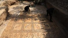 Filistinli çiftçi, tarlasında Bizans dönemine ait mozaikler buldu