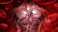 Gerçek yaşınız damar yaşınızdır