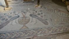 Hadrianaupolis’te yeni mozaikler bulundu