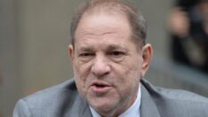 Harvey Weinstein, özel bir dişçiye görünmek için hakime yalvardı