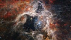 James Webb Uzay Teleskobu “Tarantula Bulutsusu”nu detaylı görüntüledi