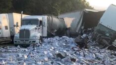 Kamyon kaza yaptı, binlerce bira şişesi yola saçıldı