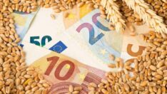 Küresel gıda fiyatları ağustosta geriledi