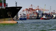 Mersin’den Adana’ya kaydırılan dev yatırıma büyük tepki  