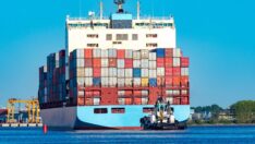 Navlun fiyatları bu yıl yüzde 50’den fazla düştü