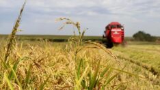 Onbinlerce çiftçinin tarlası ipotek edildi