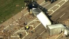 Otoyolda devrilen kamyondan dökülen seks oyuncakları infial yarattı