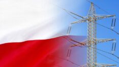 Polonya hükümeti ‘elektrikte fiyat sabitleme’ planını onayladı