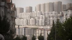 Sosyal konut projesi fiyatlara derman olur mu, zam olarak geri mi döner?