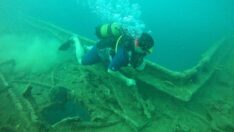 St. Didier batığını istilacı türler sardı