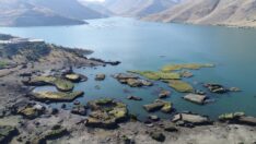 Su azaldı, yüzen adalar karaya oturdu