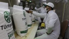 Türkşeker Müdürü’nden şeker arzına yönelik açıklama