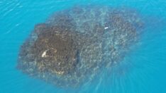 Van Gölü’nde görüntülendi, dünyada kayıt altına alınan en büyük yapı