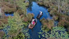 Acarlar Longozu’nun turizm destinasyonu genişletilecek
