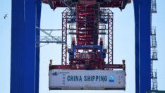 Alman hükümetinde Çin çatlağı