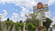 Ankara’da aslan kükremesi komşuların psikolojisini bozdu