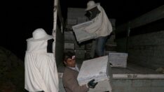 Arıcı çift, en iyi bal için diyar diyar geziyor