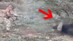 Avcılık Federasyonu Başkanı avda öldü