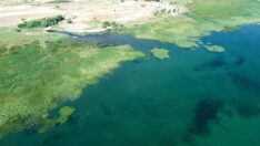 Beyşehir Gölü’nde keşfedildi, inceleme başlatıldı