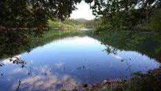 Doğada huzur ve sakinlik arayanların gözdesi Şavşat Karagöl