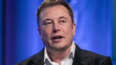 Elon Musk, Cadılar Bayramı kutlaması için “Drakula’nın şatosu”nu kiraladı