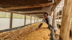 Etiyopya’dan döviz kıtlığı nedeniyle ithalat yasağı