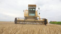 Gıda fiyatlarının düşmesi için ‘girdilerde indirim’ çağrısı