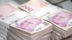 Hazine 176,3 milyar liralık iç borçlanmaya gidecek