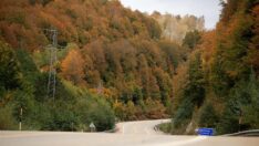 Istrancalar büyüledi