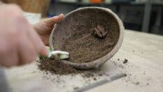 İzmir’de 5 bin yıllık kase bulundu