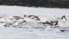 İzmir’de kulaçlar 100’üncü yıl için atıldı