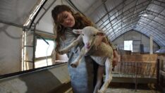 Kadın çiftçi: Hayallerimin çoğu gerçek oldu