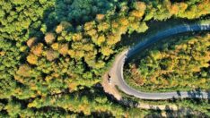 Kastamonu ormanlarında sonbahar güzelliği