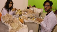 Kayseri’de yapılan kazılarda 400’e yakın fosil bulundu