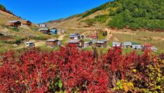 Macahel her mevsim ilgi görüyor