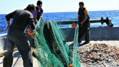 Nebati, kıyı balıkçılığı desteklerini açıkladı