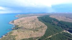 Rosatom: Türkiye ile Sinop’taki nükleer santral için görüşmelere başladık