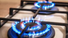 Seçim gazı ocak-mart arasında geliyor