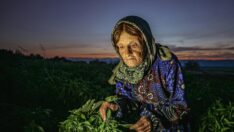 Suriyeli kadınların Dünya Kadın Çiftçiler Günü