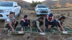 Suriye’ye 900 saka kuşu götürecekti… Rekor ceza uygulandı