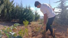 Tarladan dünya şampiyonluğuna