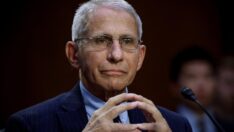 Ünlü bilim insanından Covid-19 uyarısı: Bu kış yeni varyant gelebilir