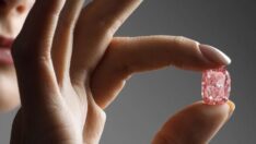 Williamson Pembe Yıldızı rekor fiyata satıldı