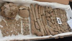 Yassıtepe’de Miken uygarlığına ait mezar alanı bulundu