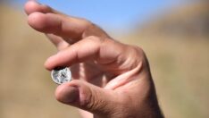 Yüzey araştırmalarında tahminen 5 bin yıllık objeler bulundu