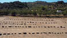 Zeus Tapınağı 1700 yıl sonra ayağa kaldırılıyor