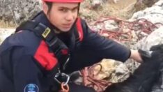 250 metrelik uçurumda mahsur kalan keçi kurtuldu