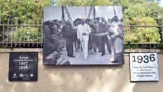 Ağaçlı yoldaki Atatürk Açık Hava Sergisi yenileniyor